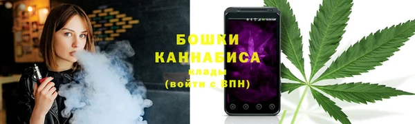 крисы Верхний Тагил